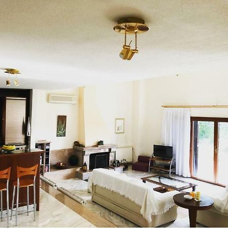 Bright&Spacious Chalkidiki Villa Siviri Exterior foto