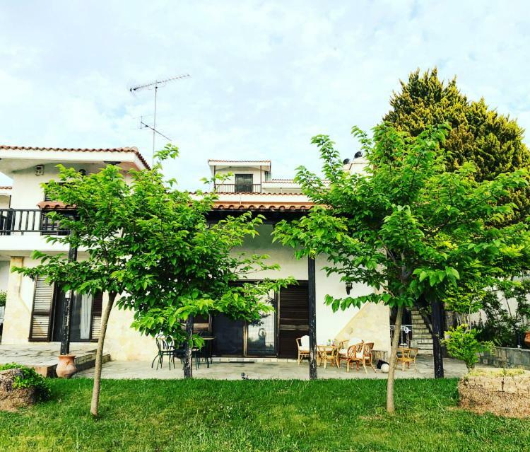 Bright&Spacious Chalkidiki Villa Siviri Exterior foto