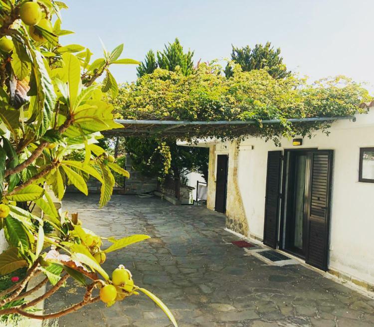 Bright&Spacious Chalkidiki Villa Siviri Exterior foto